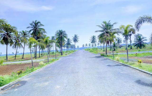 Srinarayani