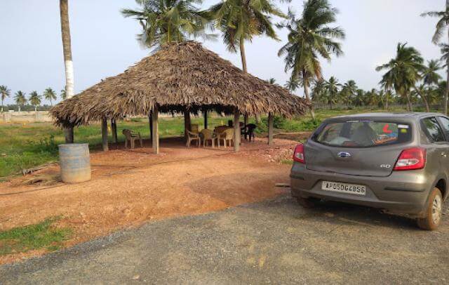 Srinarayani
