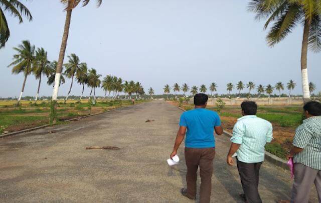 Srinarayani