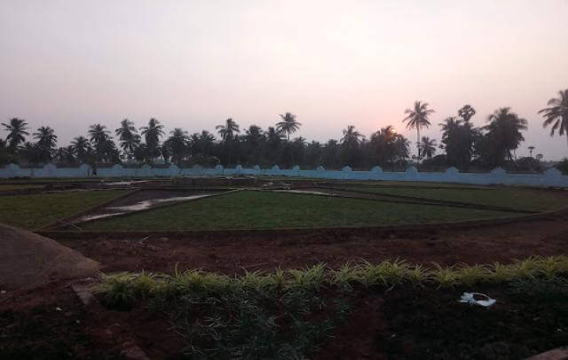 Srinarayani