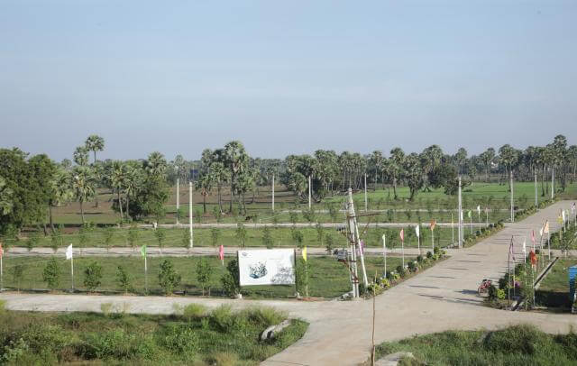Srinarayani