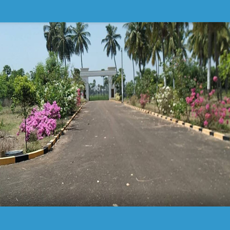 Srinarayani