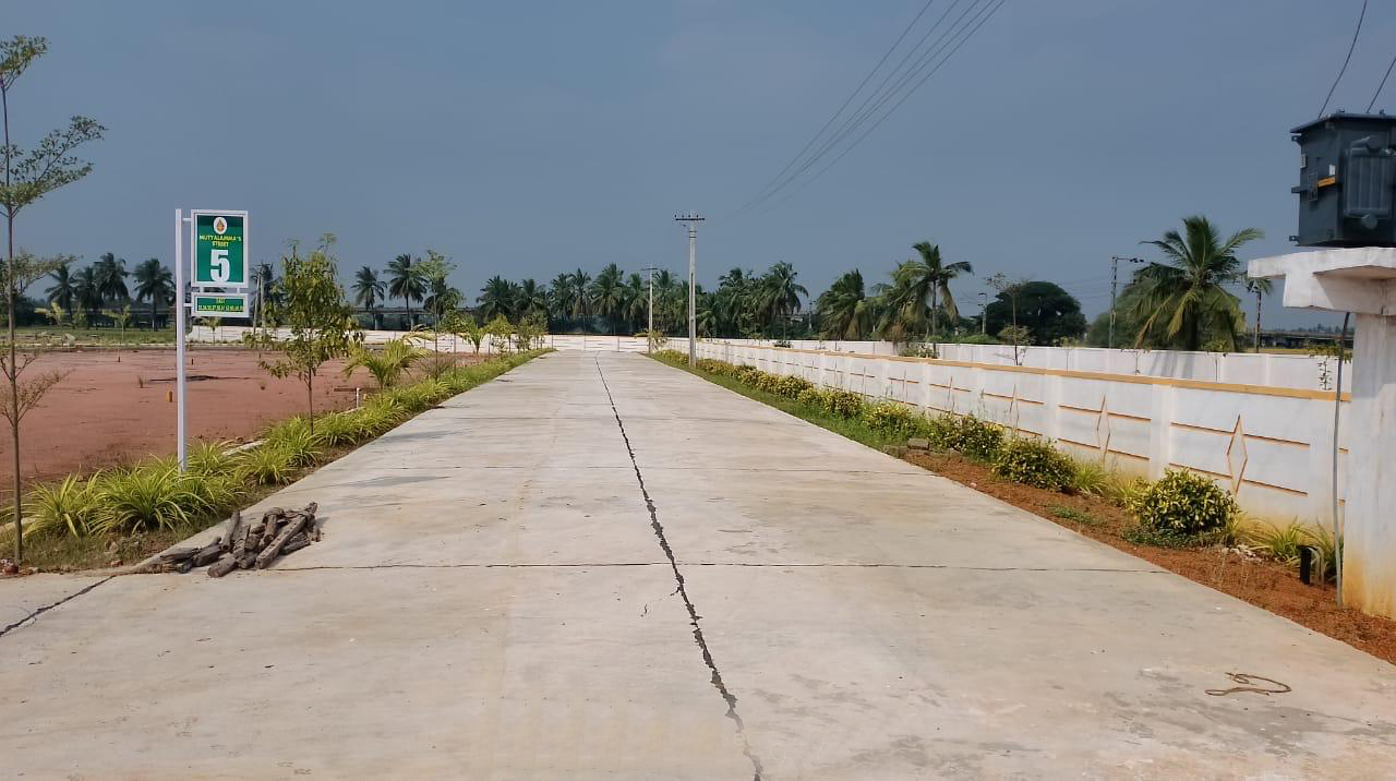 Srinarayani
