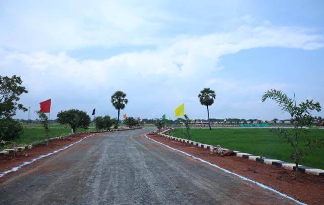 Srinarayani