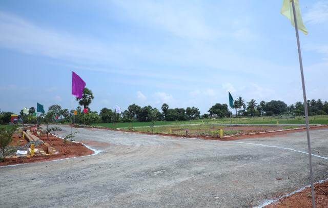 Srinarayani